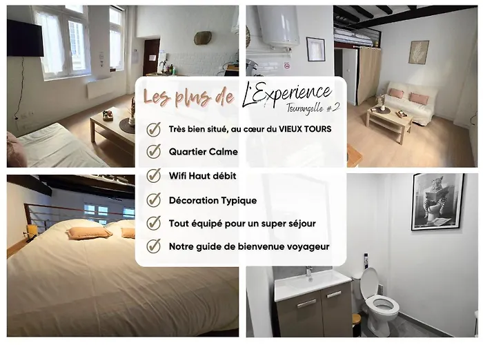 Apartment L'experience Tourangelle #1 *