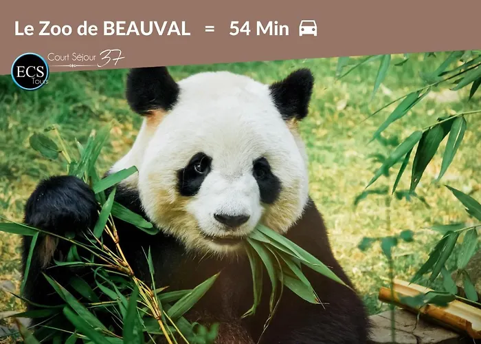 L'experience Tourangelle #1 公寓 *