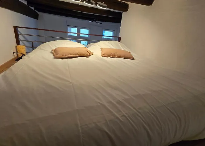 L'experience Tourangelle #1 Apartment