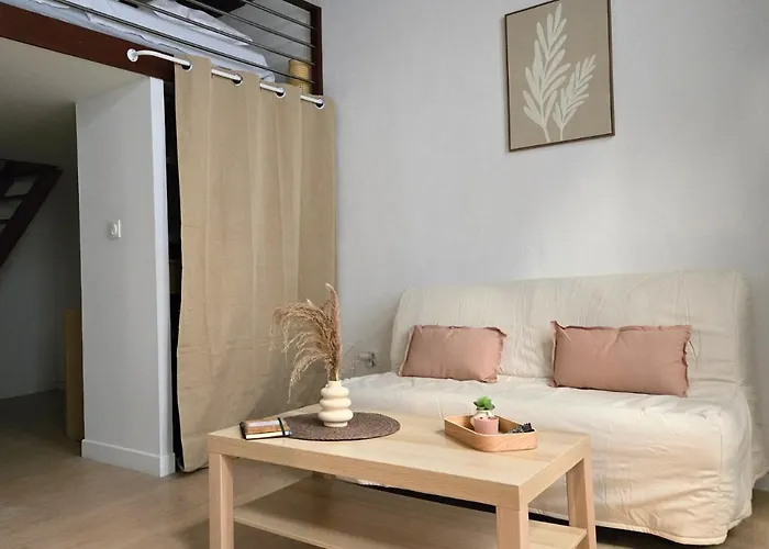 L'experience Tourangelle #1 Apartment Tours